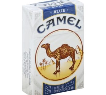 CAMEL LIGHTS